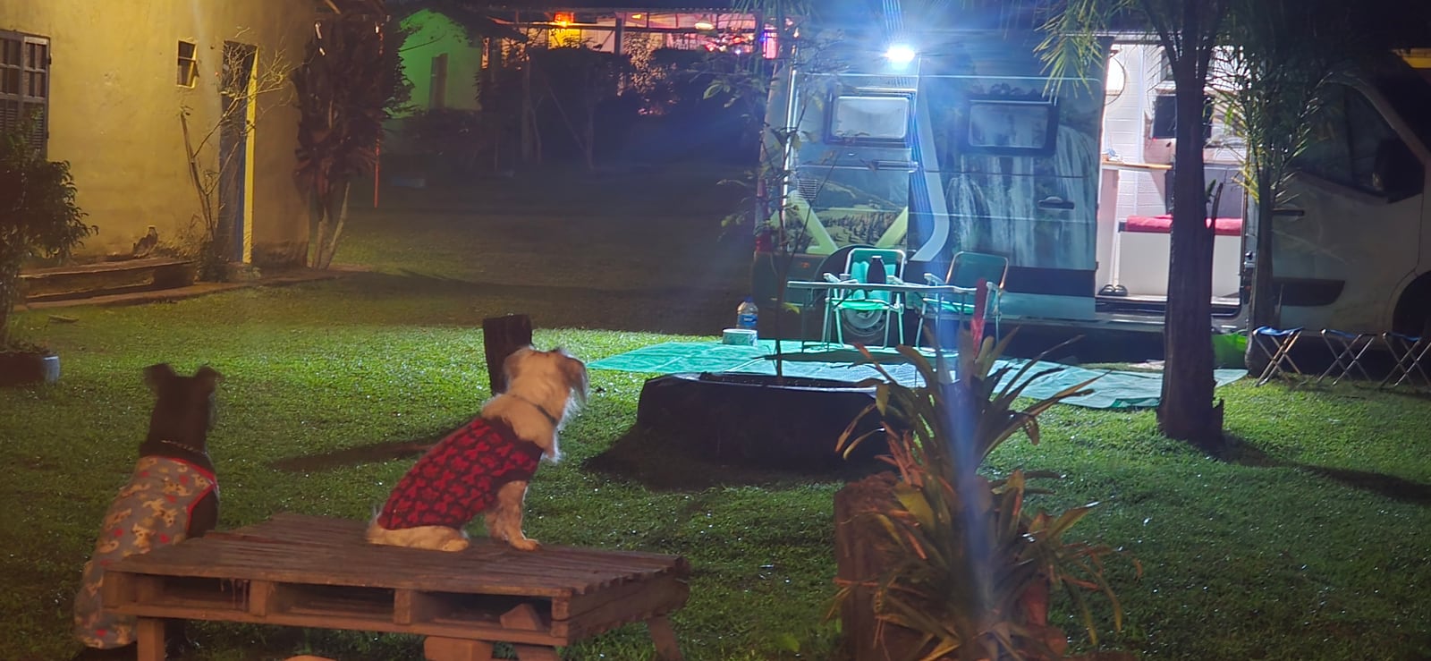 O acampamento à noite, com o motorhome iluminado e os dois cachorros de roupinha