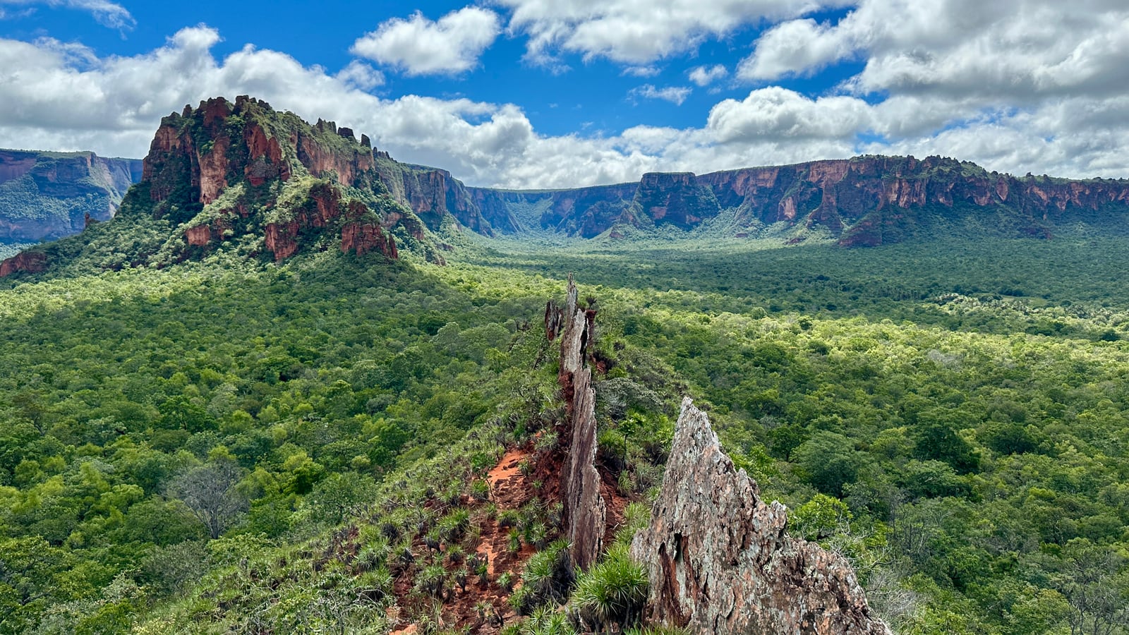 Paredões de arenito da chapada cobertos de mata, vistos de um mirante