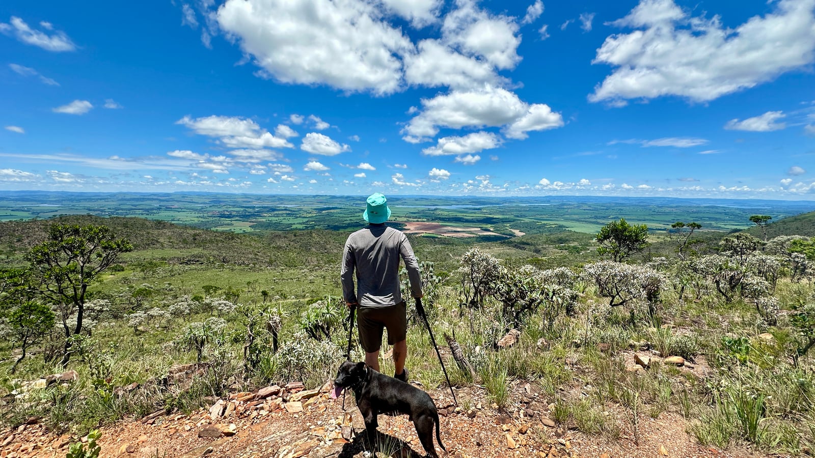 Caminhada por uma trilha de cerrado aberto, com o cachorro junto